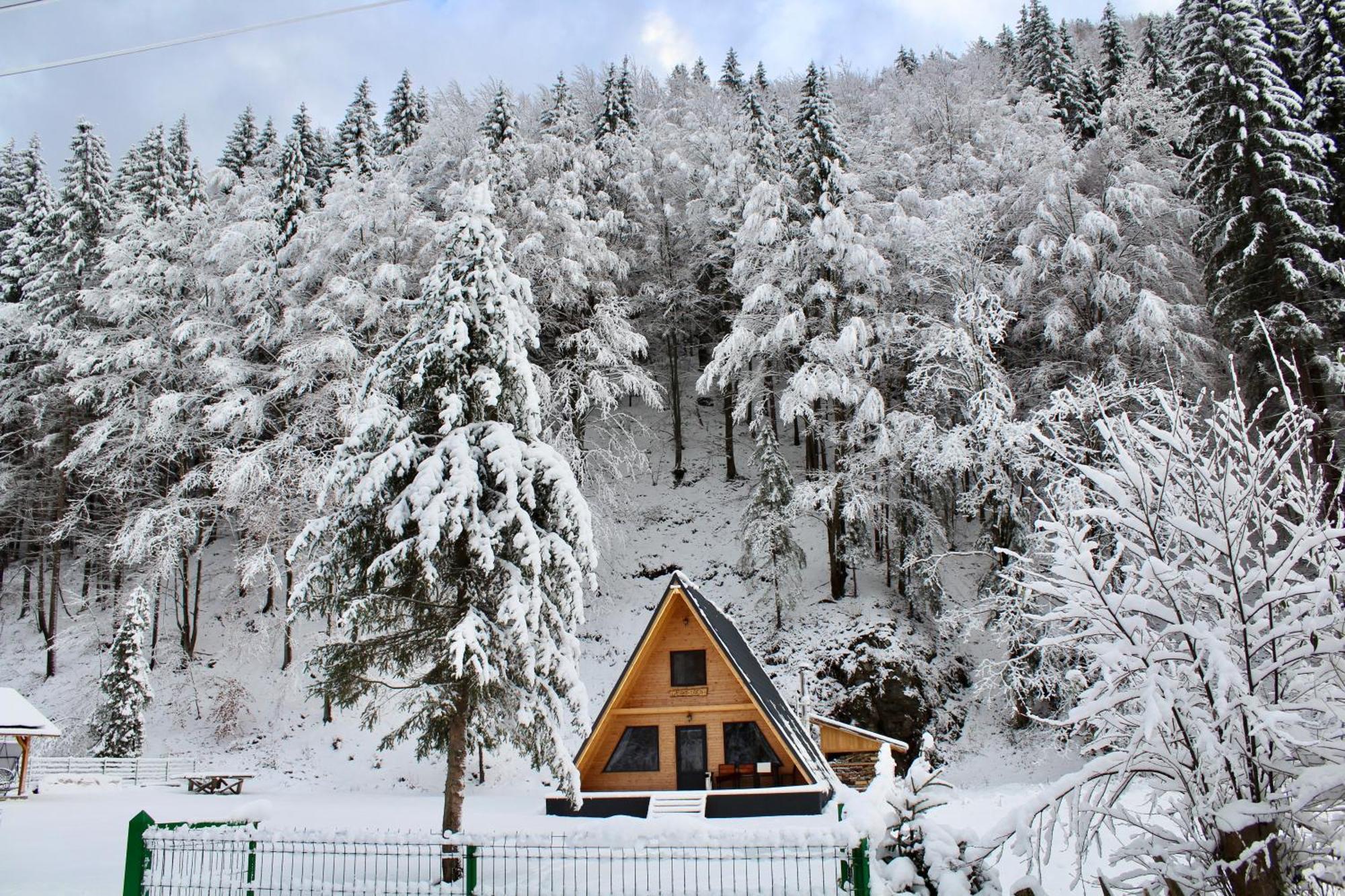 Cabana Laica, Romania Petrila Exterior photo